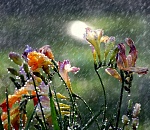 Астраханские синоптики продолжают прогнозировать грозу и ветер