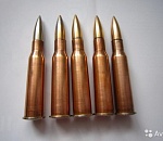 В Астраханской области отец с дочерью нашли ящик боеприпасов и занялись их продажей