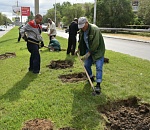 Клумба-гигант появится на одной из улиц Астрахани
