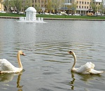 В Астрахани появится "зеленый" Микки-Маус 