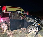 В полночь на юге Астраханской области из-за столкновения «Лады» с лошадью пострадали три человека