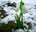 Астраханская погода в марте