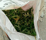 Астраханец «варил» наркотики на строительном предприятии 