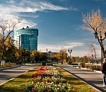 В четверг по Астраханской области будет тепло с ветерком