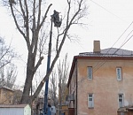 Жизни астраханцев угрожали деревья