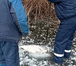 В Астрахани на ерике Солянка достали из-подо льда труп женщины