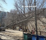 Унесенные ветром: в Астрахани деревья падают на машины и провода ЛЭП