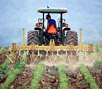 Астраханский АПК реализует проектов на 40 млрд руб.