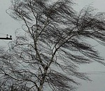 В Астрахани штормовое предупреждение: обещают сильный ветер