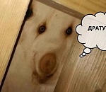 Впервые в десятку популярных астраханских СМИ странным образом попало информагентство из Кабардино-Балкарии