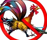 Тут митинговать нельзя