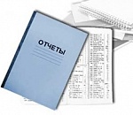 Мэров обяжут отчитываться перед жителями о своей работе