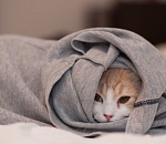 Во вторник астраханцев ждет похолодание