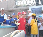 В Астрахани в Волгу выпустили 300 маленьких осетрят