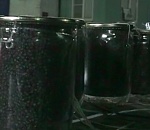 Суд вынес решение в отношении перевозчика 16 килограммов черной икры