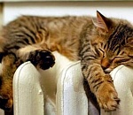 Астраханцев ждет теплое, но ветреное воскресенье