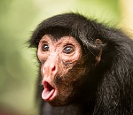 Какая-то чертовщина происходит с прогнозом погоды в Астрахани