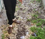 В Астрахани налетчик с пневматом ограбил магазин на 245 рублей, но может получить десять лет