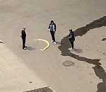 Пользователи соцсетей гадают, что случилось с питоном из зоопарка