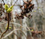 Завтра в Астрахани по-прежнему тепло, но ветром снесет