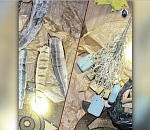 Две астраханки пойдут под суд за приобретение царской рыбы