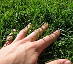 Астраханка погибла от удара током, поливая огород