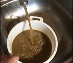 Фото дня: всё в шоколаде