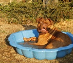 Жители Астрахани, напоминаем: сегодня вам отключат воду