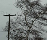 Вчерашний ветер оставил без света десятки населенных пунктов Астраханской области