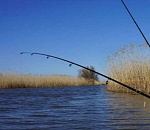 В Астраханской области полицейские поймали иногородних рыбаков