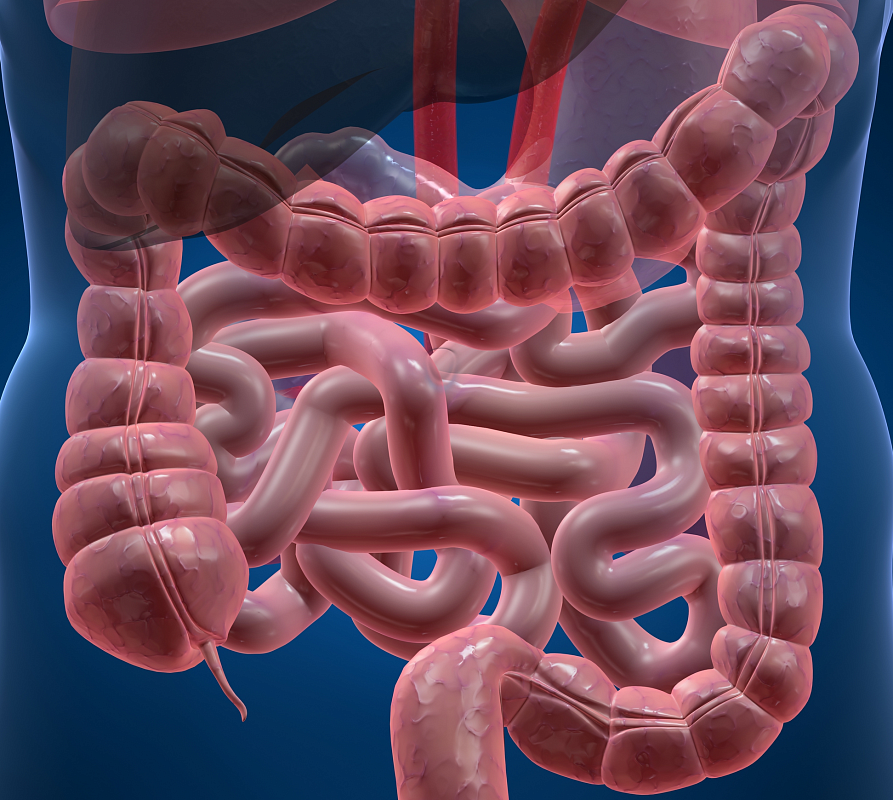В Астрахани случился Всемирный День Пищеварения