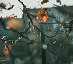 Не забудьте зонтики: синоптики рассказали о погоде в Астрахани на завтра