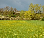 Индексация пенсий и весенний призыв: как изменится жизнь россиян с 1 апреля