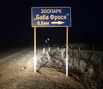 Астраханцы могут взять под опеку животное из зоопарка "Баба Фрося"