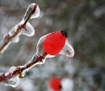 Редкое и опасное природное явление прогнозируется в Астраханской области