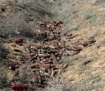 Под Астраханью обнаружены тысячи неразорвавшихся боеприпасов