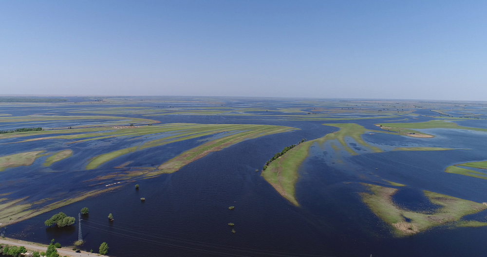 Записки астраханского натуралиста. Как Волжско-Камский каскад водохранилищ влияет на рыбные запасы