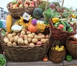 Завтра астраханцев вновь ждет сельскохозяйственная ярмарка