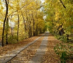 Сегодня в Астрахани ожидается аномальное для ноября тепло