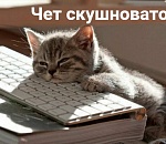 Рейтинг астраханских сайтов за август 2021: в Астрахани ничего не происходит