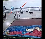 На набережной в Астрахани велосипедист испугался собак и на скорости сбил женщину: видео