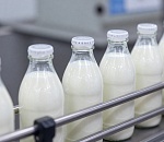 Импортозамещение с горбом: под Астраханью запускают производство уникального продукта