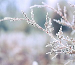 Завтра астраханцев снова ждут резкие перепады температуры