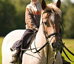 В Астрахани владельцы лошадей, катающих горожан, не имеют необходимых ветеринарных документов