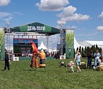 На Всероссийском дне поля Астраханская область представляет два демонстрационных поля арбузов