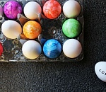 Пасхальные службы в Астрахани пройдут без прихожан