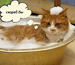 Кому в Астраханской области в этом году проведут газ и воду?