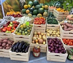 Почти 200 фермерских хозяйств завезут продукцию на астраханский агрофестиваль