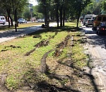 Таксист, испортивший газон, попросил "передать астраханцам извинения"