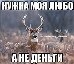 Ненасытная астраханка развела российских мужчин, желающих построить серьезные отношения, на крупную сумму  